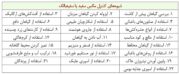 شیوه های کنترل مگس سفید یا سفید بالک چیست | ساده‌ترین راه های مبارزه