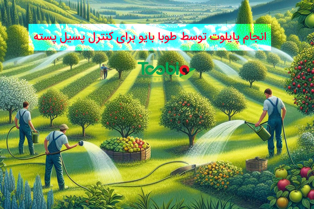 انجام پایلوت توسط شرکت طوبا بایو برای کنترل پسیل پسته | ۱۳ تیر ۱۴۰۳