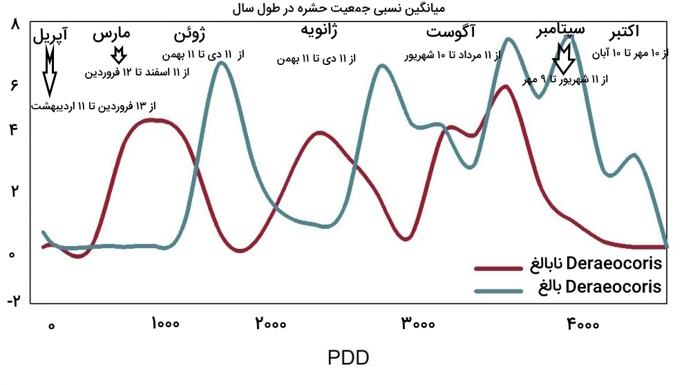 جمعیت نسبی سن شکارگر Deraeocoris در طول سال