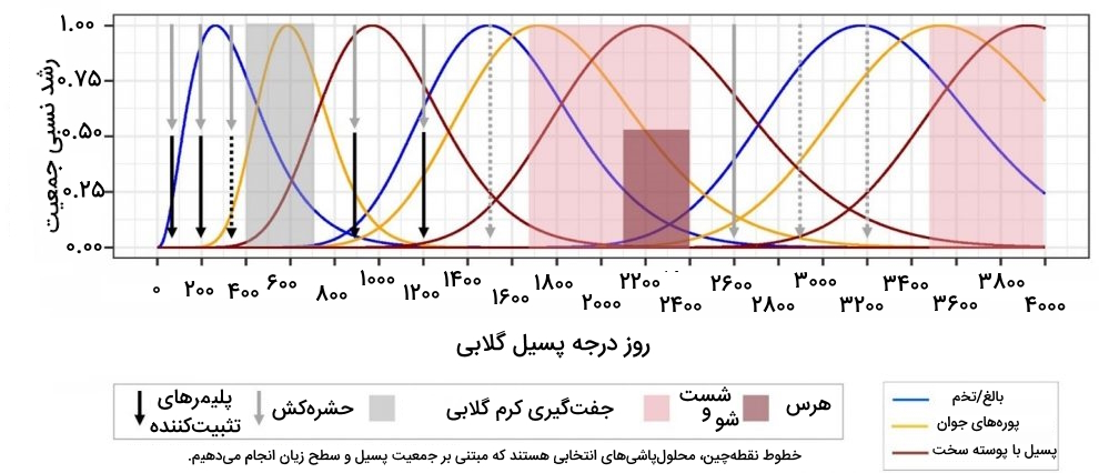 جمعیت پسیل پسته در طول سال