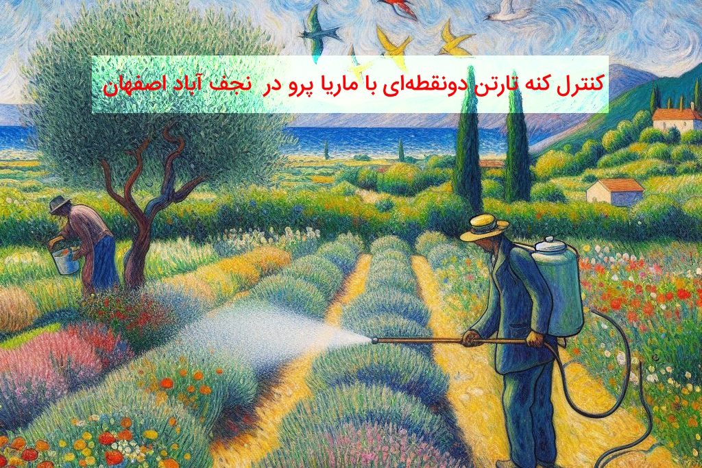 کنترل کنه تارتن دونقطه‌ای با ماریا پرو در  نجف آباد اصفهان | ۸ مرداد ۱۴۰۳