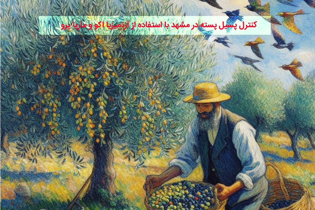 کنترل پسیل پسته در مشهد با استفاده از آرتمیزیا اکو و ماریا پرو | ۹ مرداد